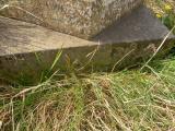 image of grave number 142092